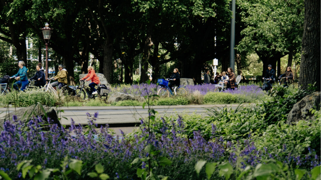 Een groen buurtpark waar gezinnen tijd doorbrengen